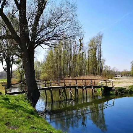 Stone In Croatia With Pool And Nature, Cleaning Included *